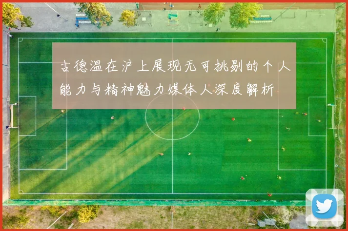 古德温在沪上展现无可挑剔的个人能力与精神魅力媒体人深度解析